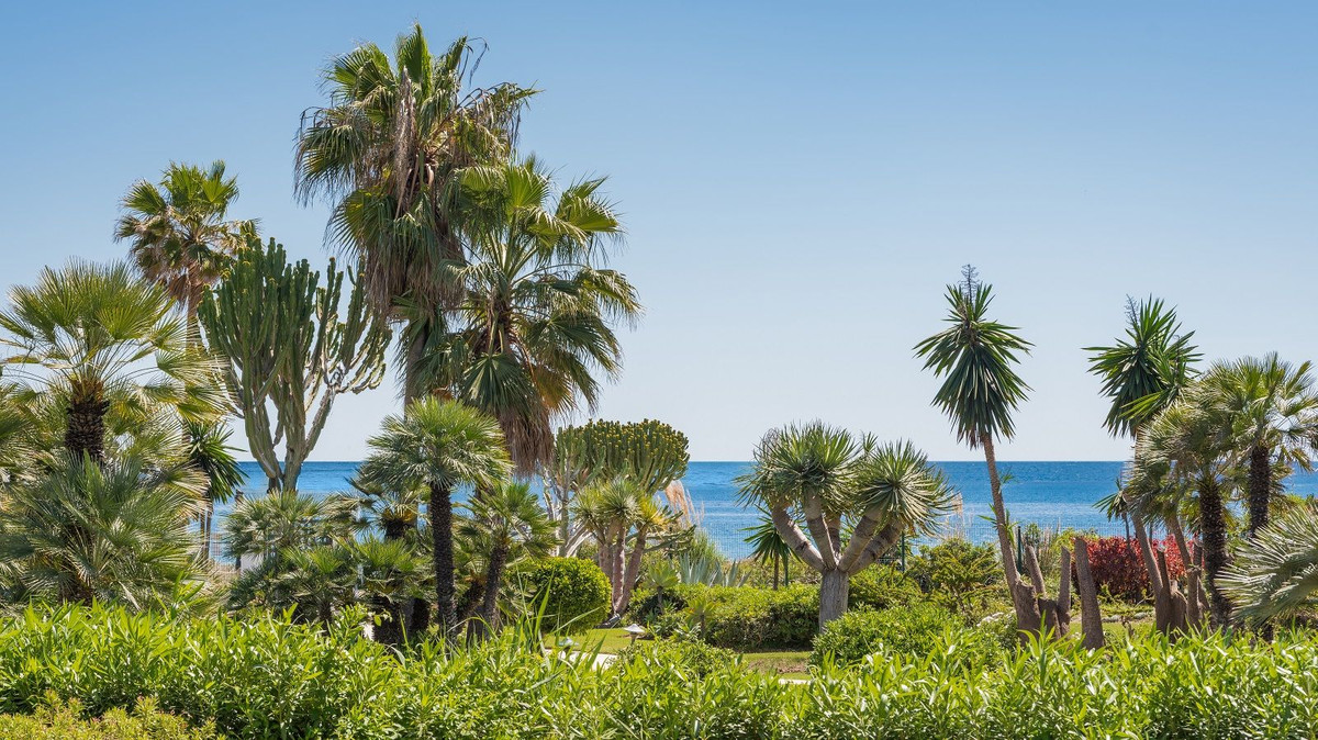 Cancelada, Estepona